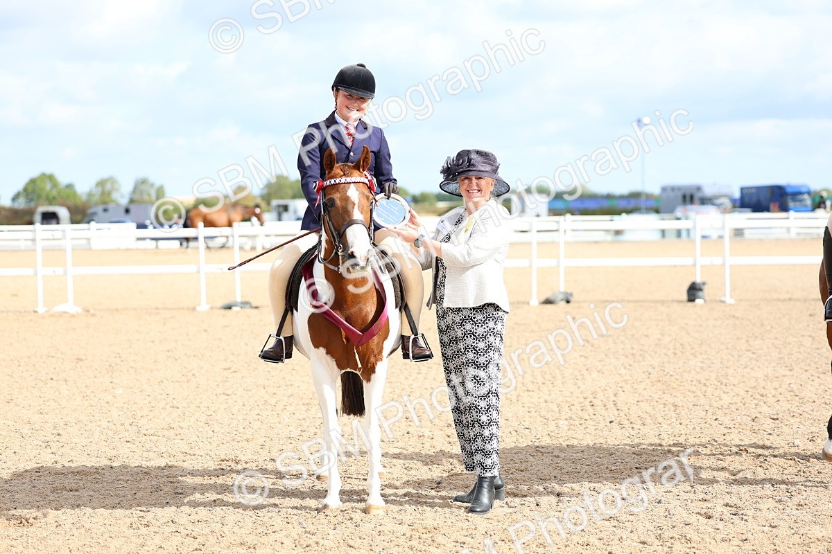 SBM_10145 - Class 304 - Ridden Part Bred Horse Pony