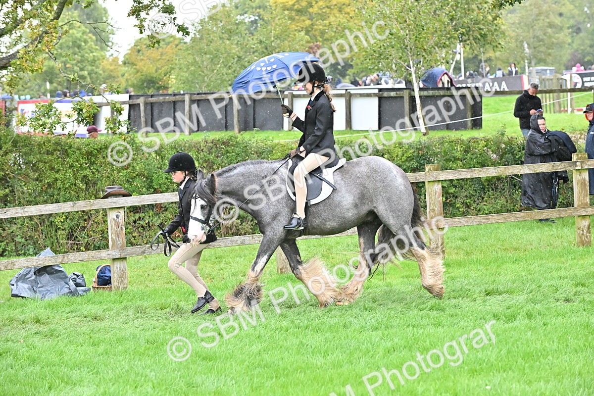 SBM_42984 - S12 - Family Horse & Pony