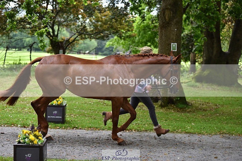 240522-161638-00834 - 166-MEXICAN_LAW-Isabelle_Cook