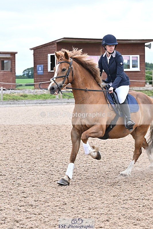 250610A-160504-00099 - Clear Round and 60cm