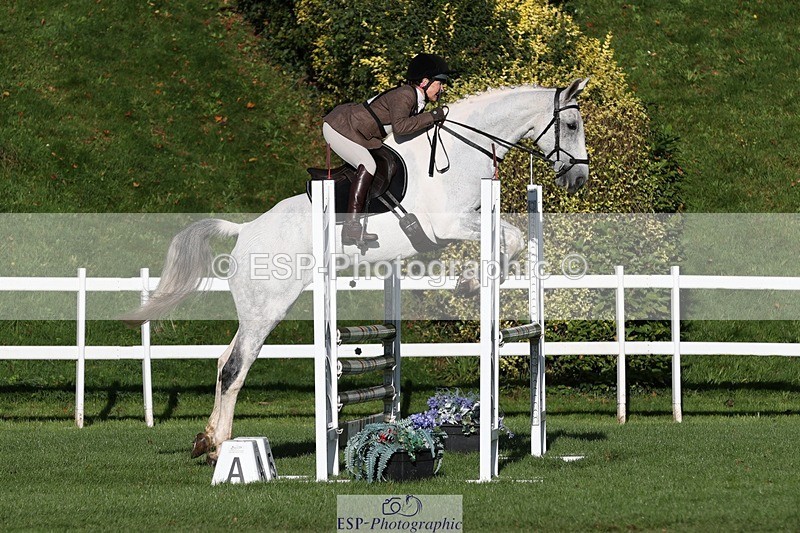 231022-100802-24340 - 618-LORD.PICTON.FREESTYLE-Penny.Corbett-TrotUp+SJ