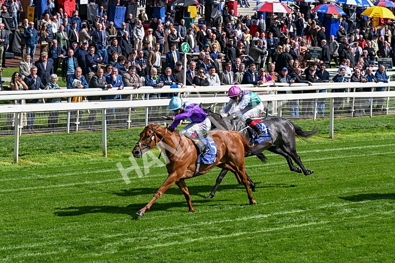 140526-Race 4-See The Fire-0208 - Race 4 3.30pm Al Basti Equiworld Dubai Middleton Fillies' Stakes