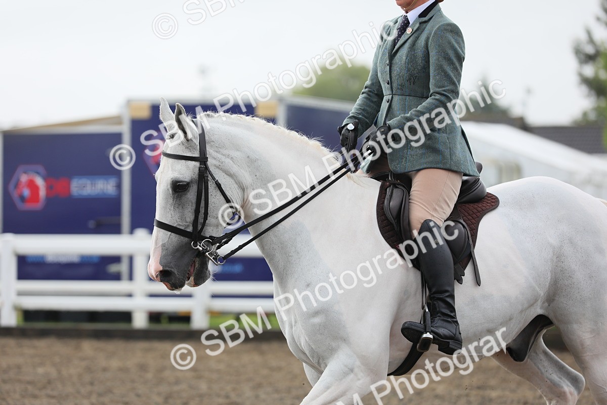 SBM_21273 - Class 805 - Ridden Veteran Horse