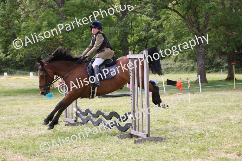 20260614-4083 - Class 24 - Mini and Major Pairs Jumping