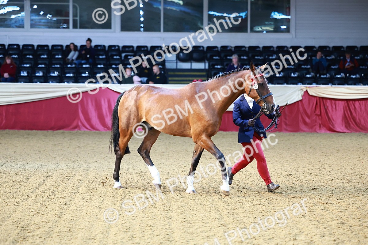 SBM_21778 - Class 901 - Supreme Final - IH  Diamond