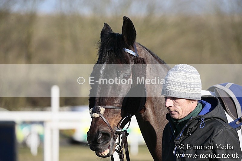 PtP 240218 638 - Vine & Craven Hunt Point-to-Point Barbury racecourse 24/02/18