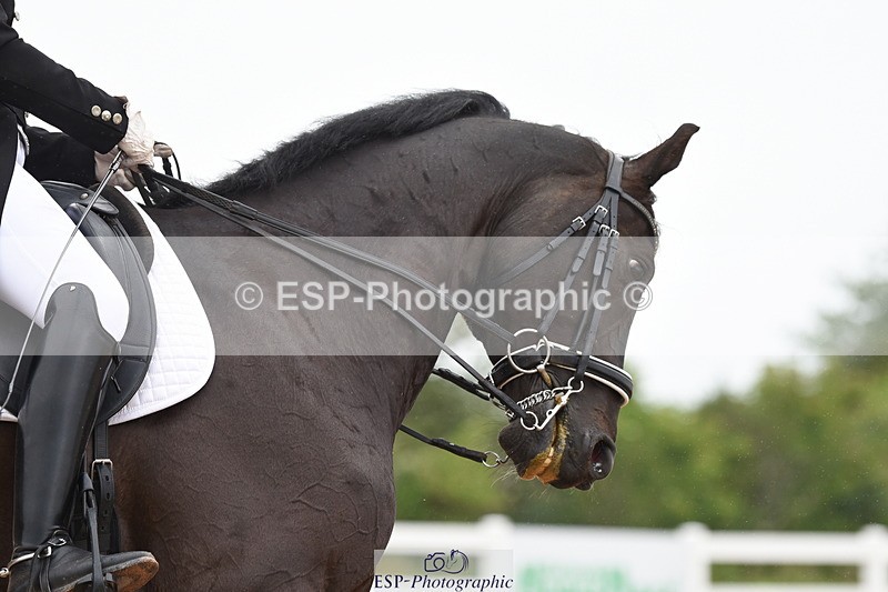 230630A-133916-02008 - Cls 17 FEI PSG