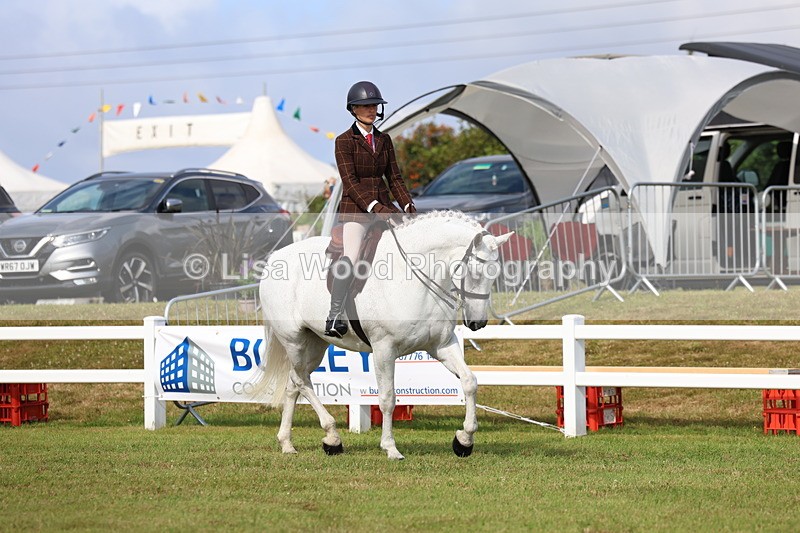 3E7A8907 - Class 3: Rising Star S/L Hunter