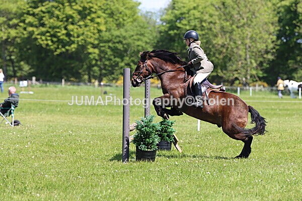 IMG_3610 - Working Hunter