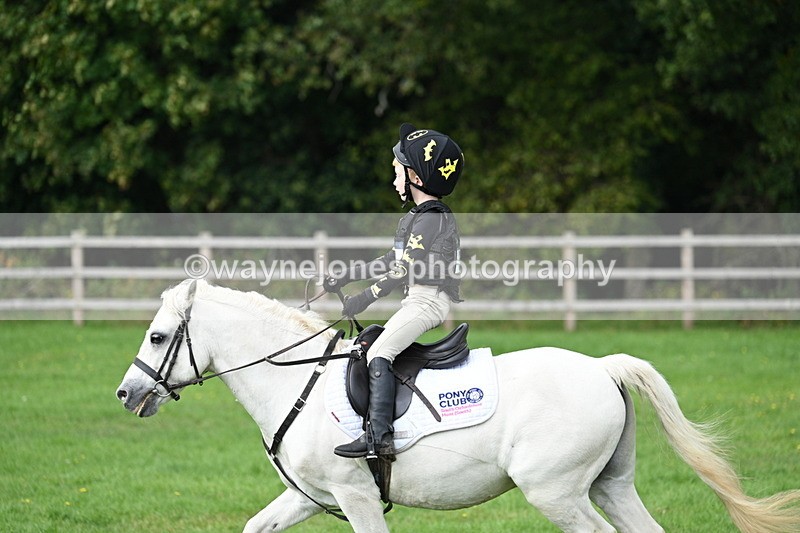 WJ7_3796 - 40cm Time 10:26 to 10:42