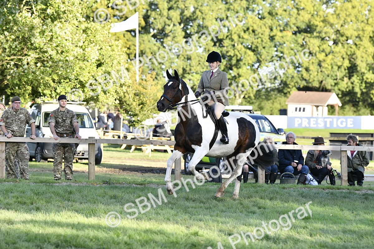 SBM_53558 - S14 - Riding Club Horse