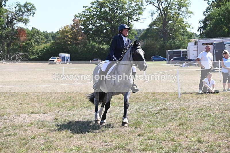 WJ6_8896 - Class 38 Ridden Riding Horse/Pony