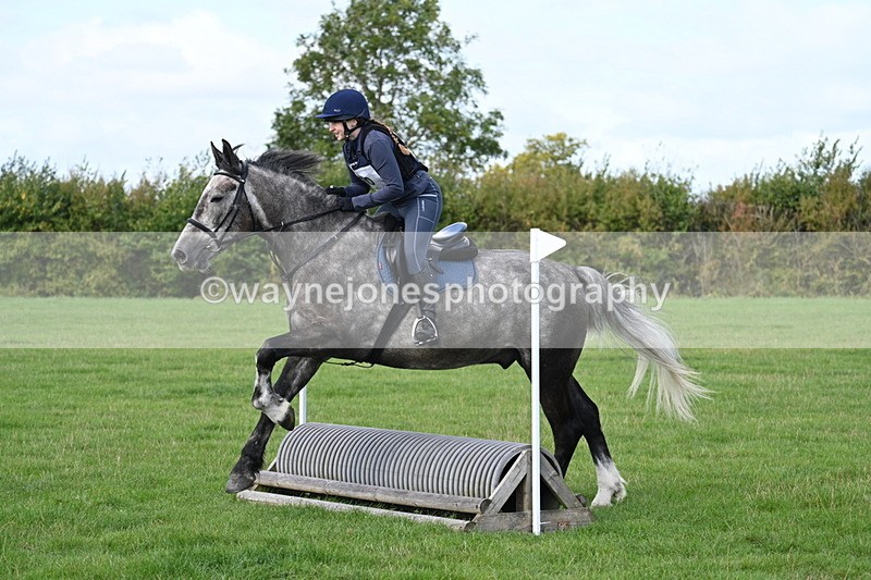 WJ7_8704 - Time 11:10 to 11:53