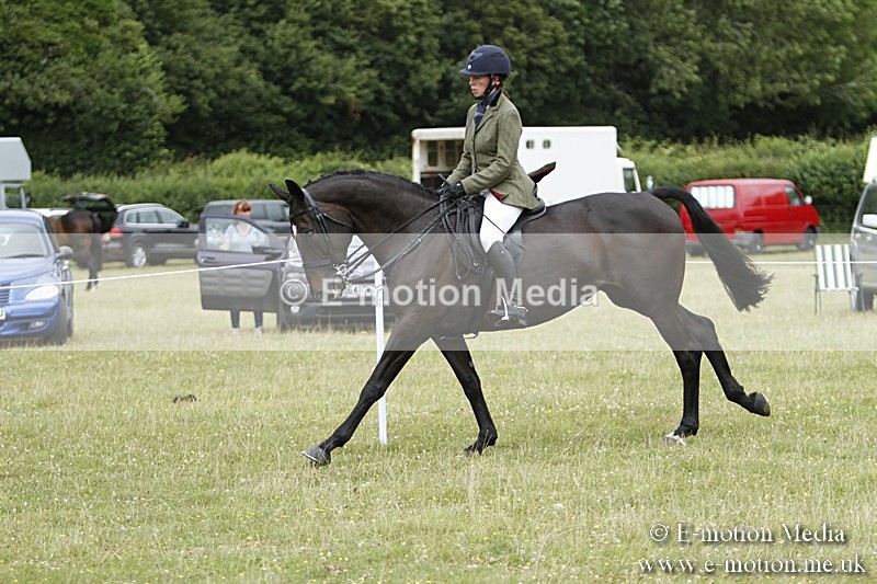 BVR160717-2233 - Ring 3 BVRC Show 16/07/17