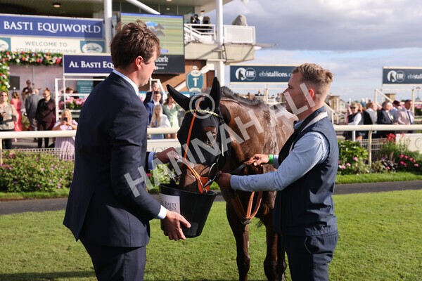 yr19082022r7-67 - Race 7 5.20pm Sky Bet Mile Stakes