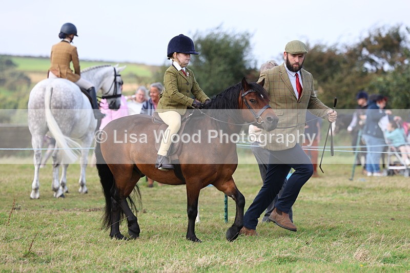 3E7A3550 - Class 2: Lead rein