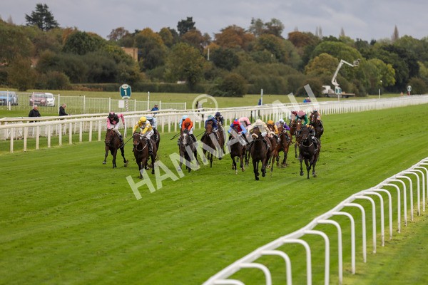 131023-Race 3-Apiarist-9766 - Race 3 3.15pm British EBF £100,000 Final