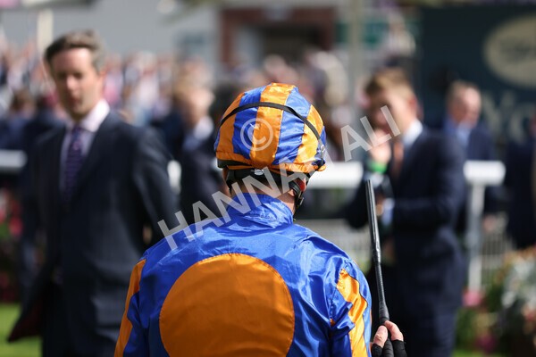 yr18082021r3-16 - Race 3 3.00pm Sky Bet Great Voltigeur Stakes