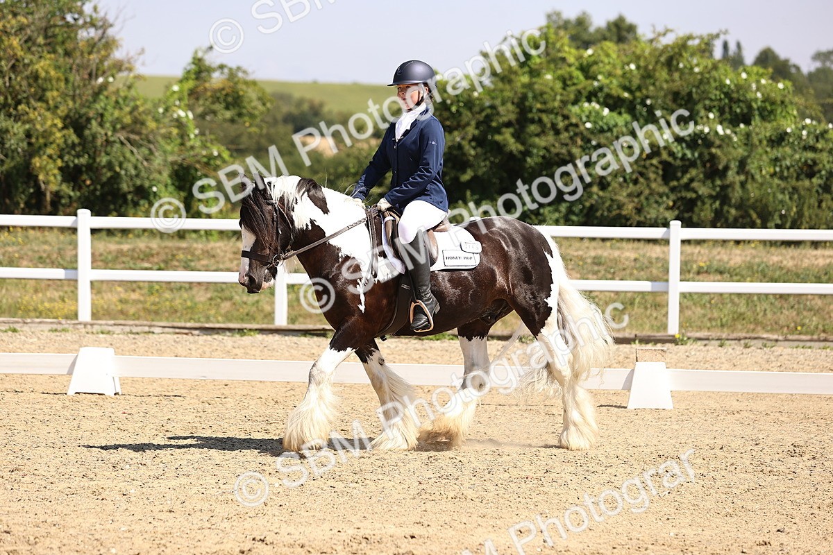 SBM_003750 - Intro 2