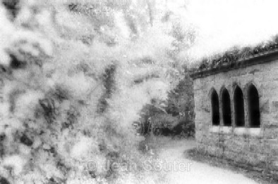 IR20 - Infra Red