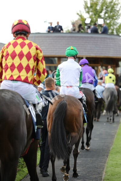 yr19082022r6-21 - Race 6 4.45 pm British Stallion Studs EBF Convivial Maiden Stakes