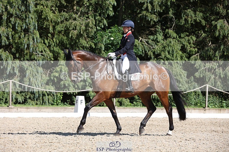 230526-160338-07743 - 168-PARKFIELD_ARTIE_BLOU-Laura_Collett-WEDTrotUp+DR