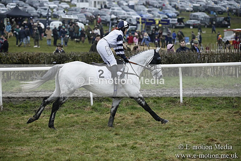 PtP 020418 -21 - Old Berks Point-to-Point Races Easter Monday 02/04/18