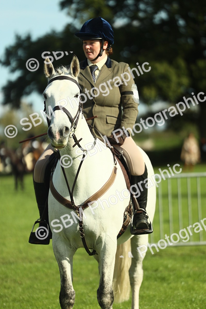 SBM_49822 - S32 - Novice & Newcomers Working Hunter