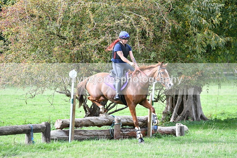 WJ5_9949 - Time 13:25 to 13:58