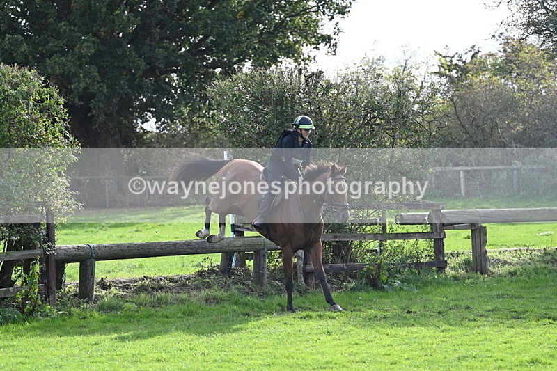 WJ7_0972 - Time 14:27 to 15:11