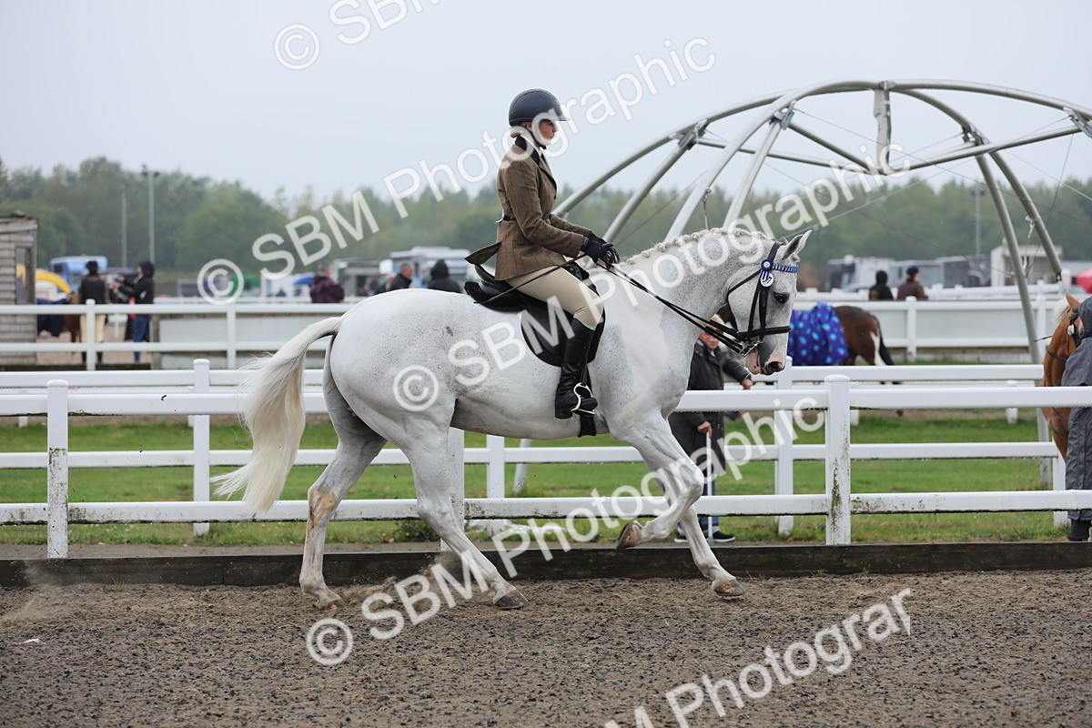 SBM_20013 - Class 802 - Ridden Groom - Helpers class