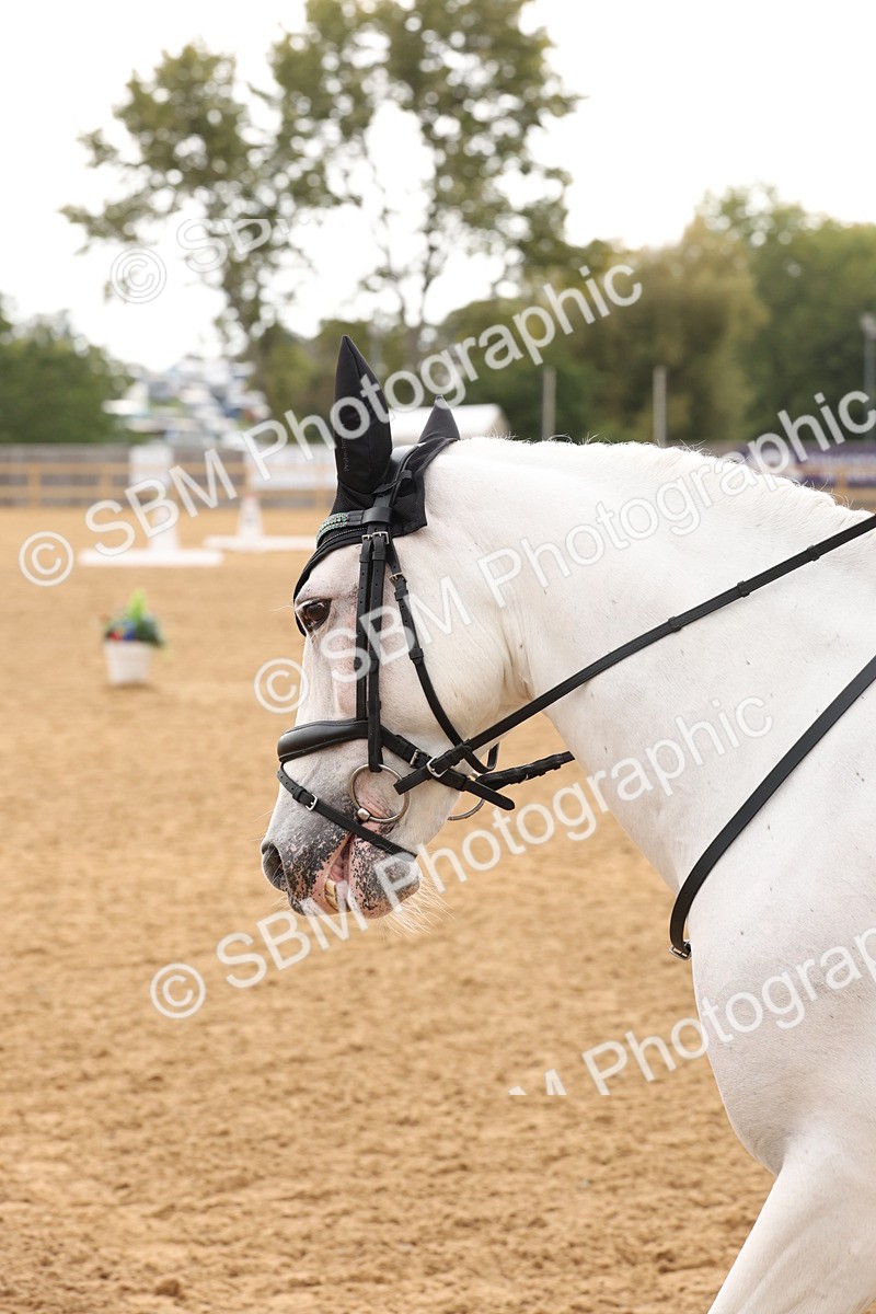 SBM_44063 - D6 - Small Tour Championship Intro 4