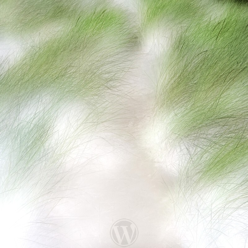 Whispering Sand Abstract - Abstracts