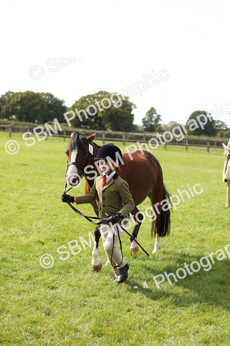 SBM_67758 - S39 - Junior Handler 8  Years & Under