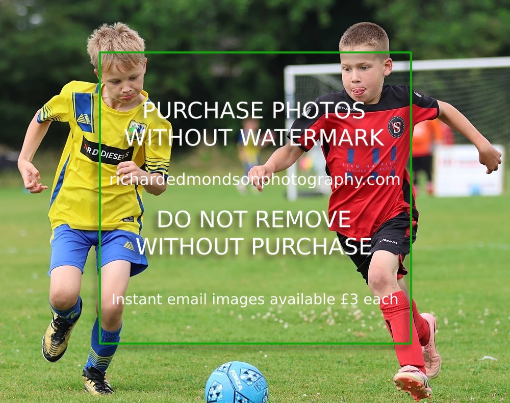 533A3092 - Sedbergh Wanderers (morning Ibis)