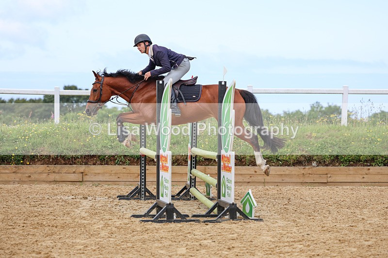 3E7A3202 - Class 4: Senior British Novice/90cm open