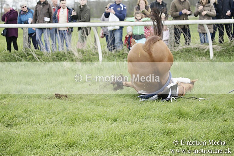 PtP 170417 40 - Old Berks Point-to-Point Lockinge 17/04/17