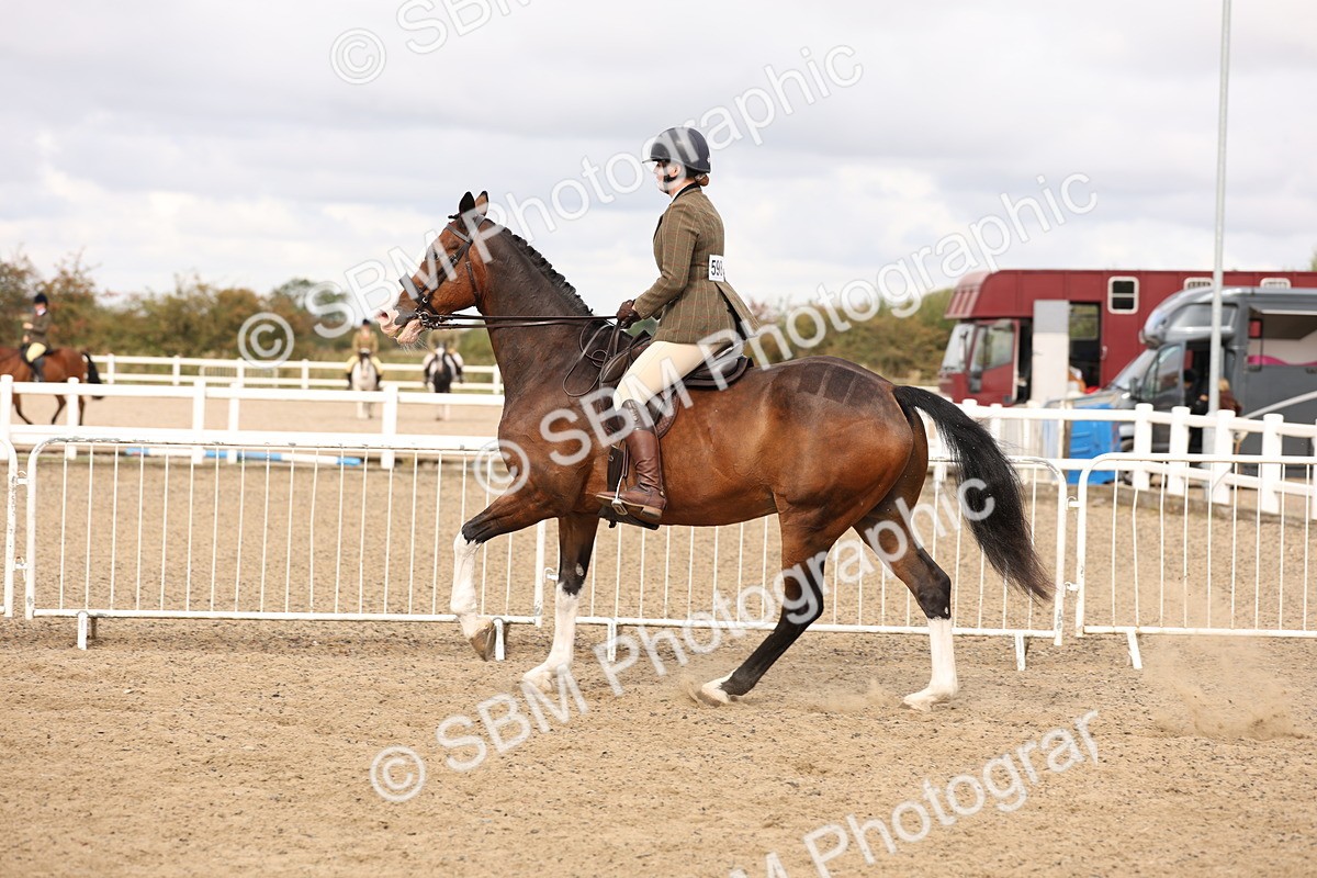 SBM_02834 - Class 53 - Ridden Competition Horse/Pony