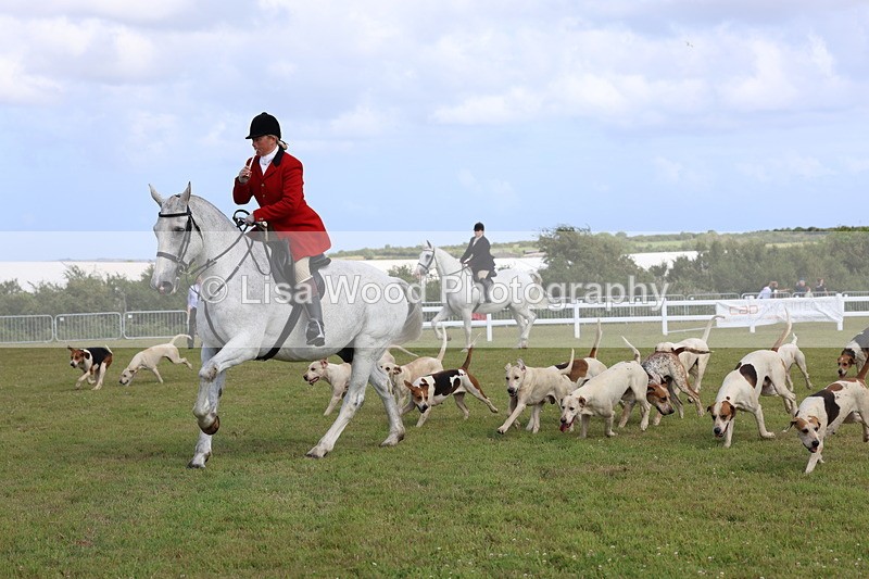 3E7A3390 - Parade of Hounds