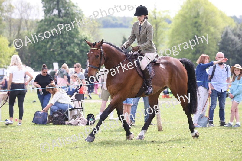 20260426-4407 - Class 34 - Best Riding Horse Over 14.2hh