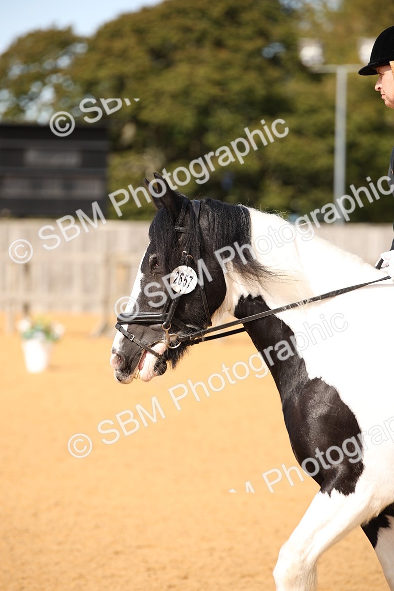 SBM_21838_D5 - Small Tour Championship - Intro C - Theresa Huttom