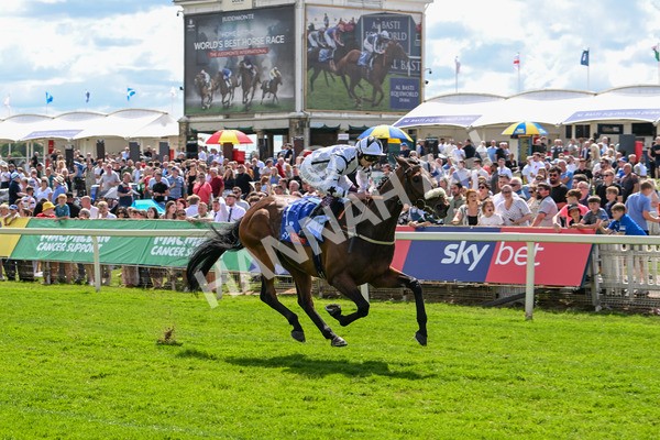 140625-Race 3-Al Qareem-2498 - Race 3 3.00pm Sky Bet Race To The Ebor Grand Cup Stakes