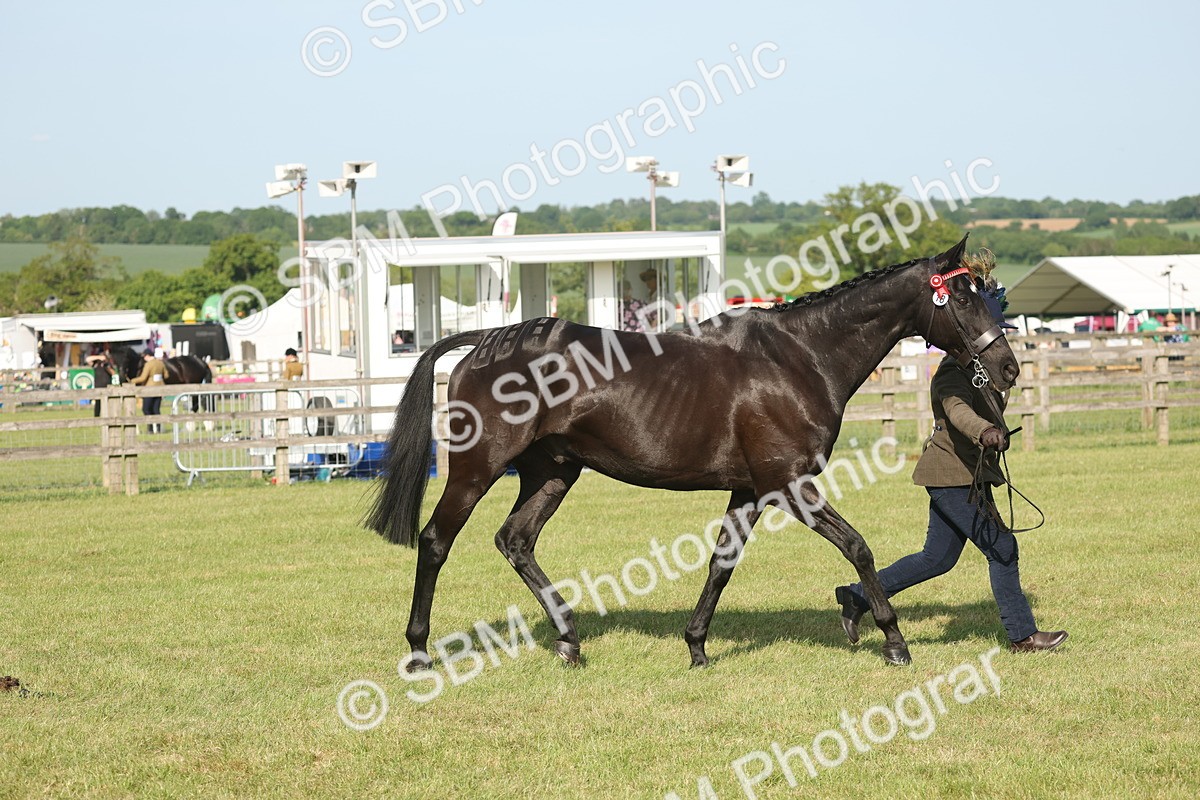 SBM_10366 - Class 33-38 - SSADL RIHS Qualifiers
