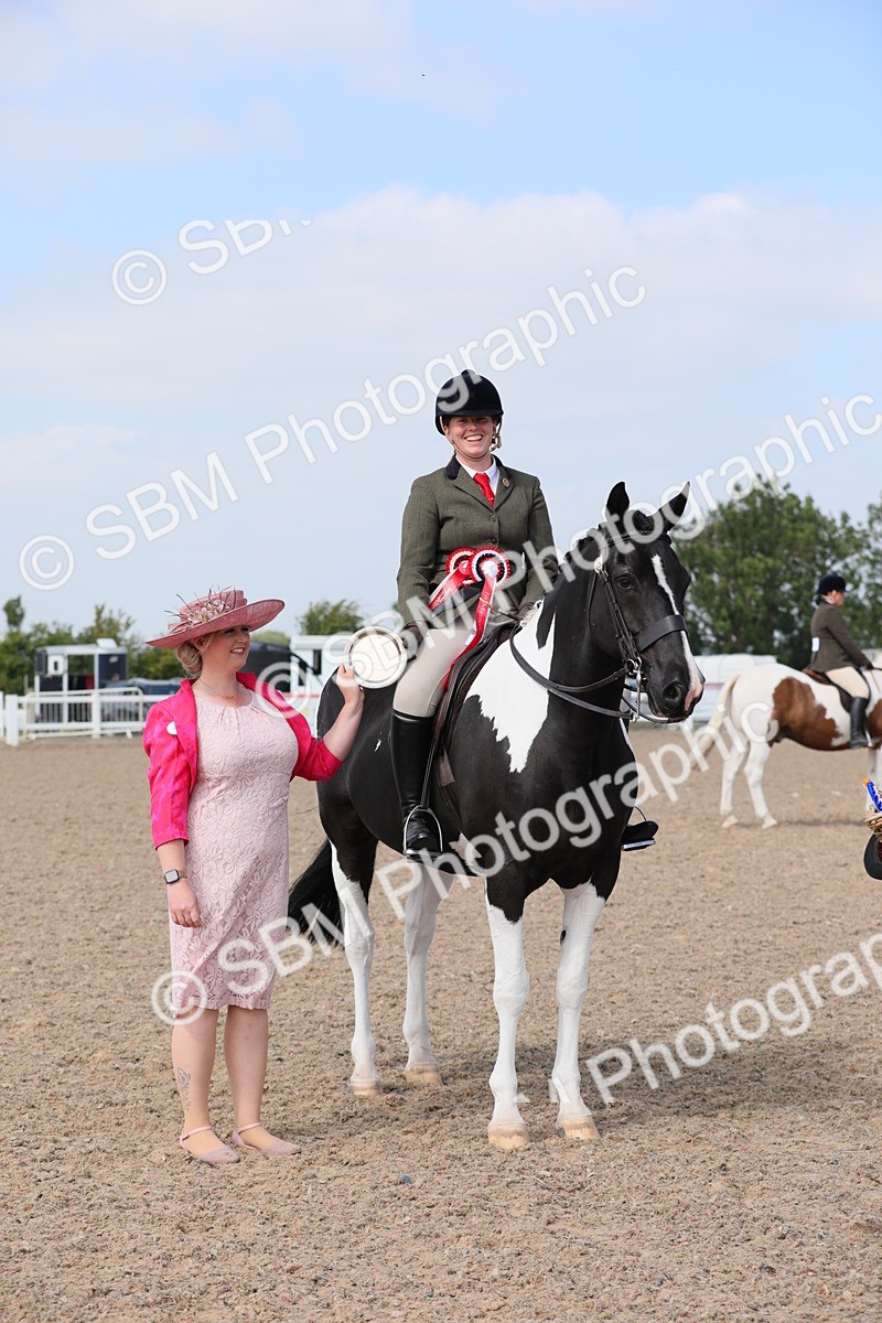 SBM_13514 - Class 308 Ridden Coloured Horse