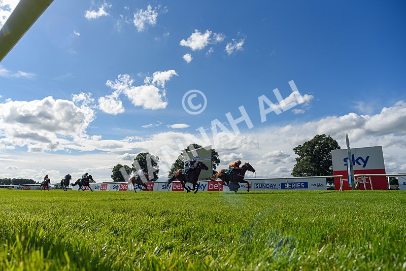 160624-Race 3-Mereside Diva-0881 - Race 3