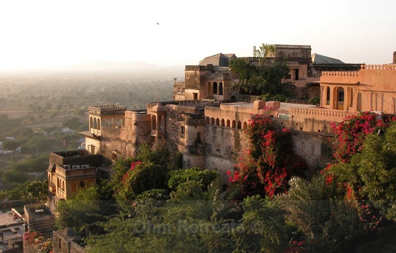 Colors of Rajasthan Experience December