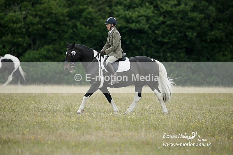 BVRC 030721 372 - Bourne Valley Riding Club Dressage 03/07/21