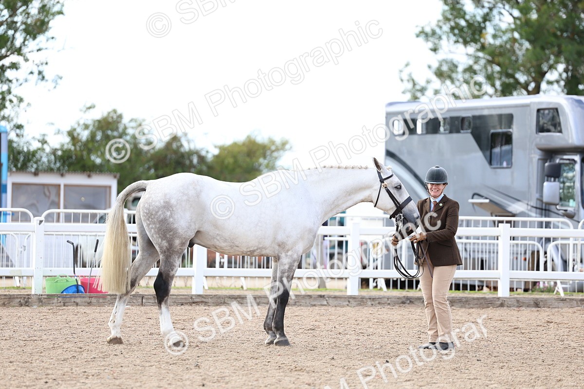 SBM_18693 - Class 317 - IH Pure Bred Horse-Pony