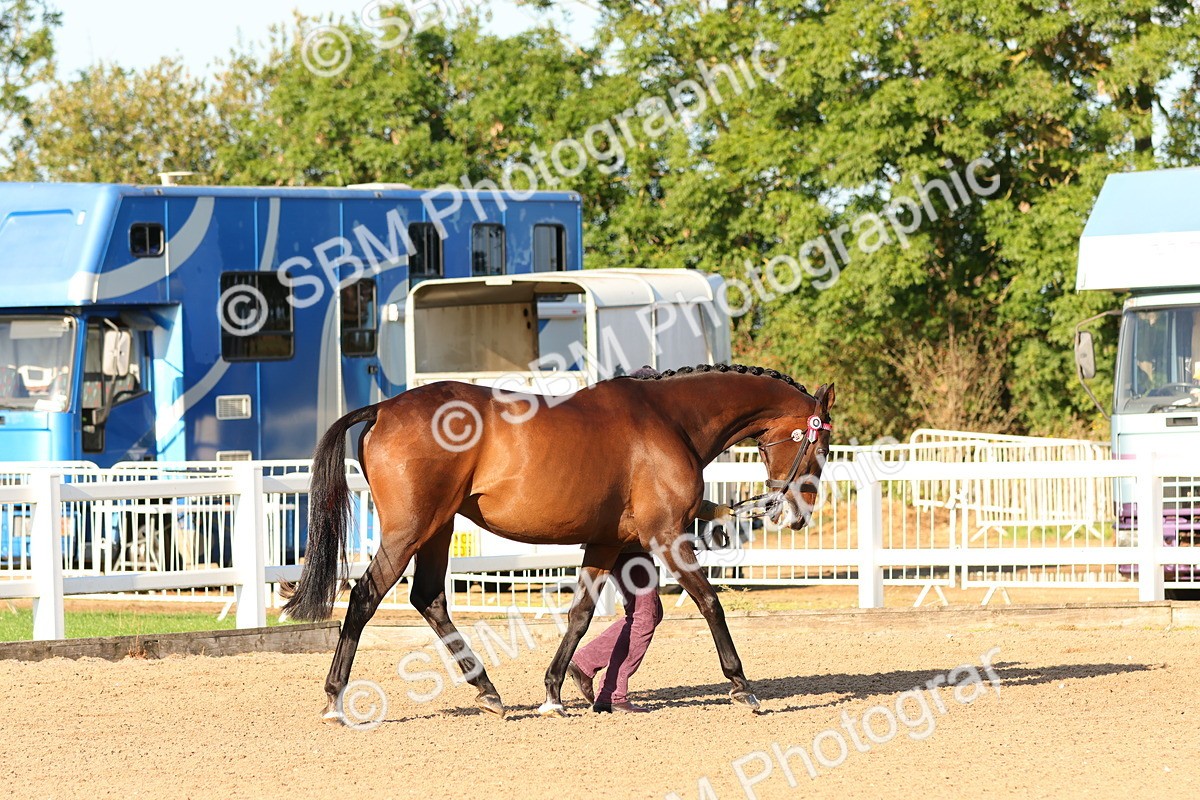 SBM_07979 - Class 201 - Best Turned Out - IH