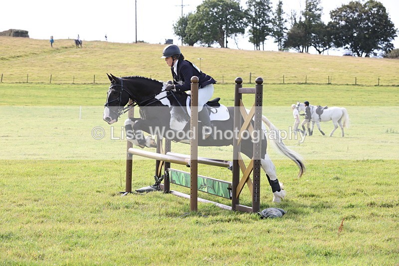 JPP_8607 - Class 2: Trekenning: 80cm Showjumping
